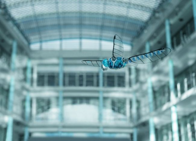 BionicOpter 遙控飛機玩膩了嗎？換隻遙控蜻蜓更有趣