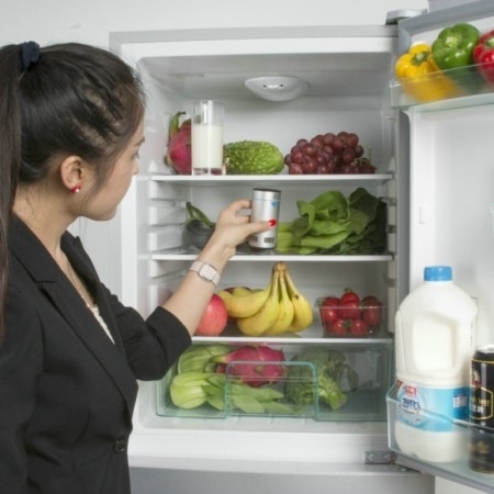 Fridgmate 智慧除臭器 做你的冰箱除臭小幫手！