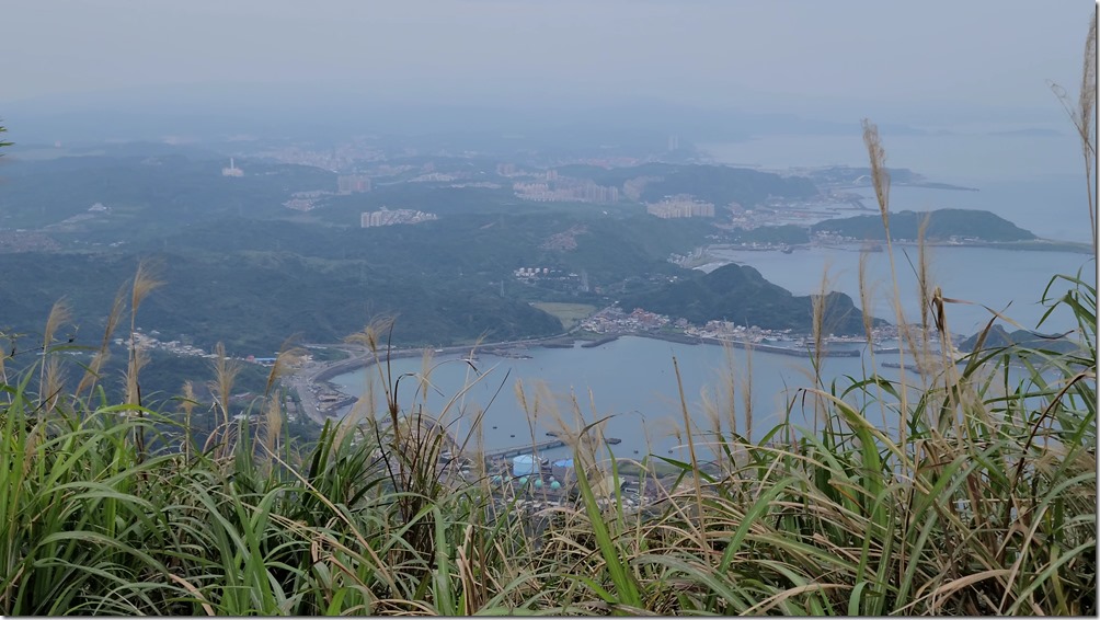 VideoCapture_20200319-135601