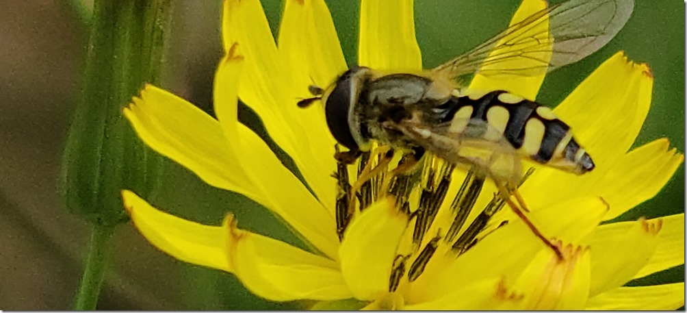 20200318_084038_resized