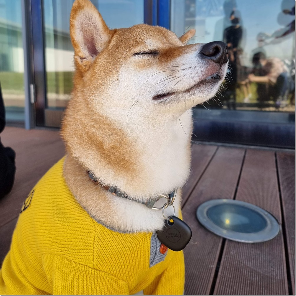 received_848938102622150 received_848938102622150