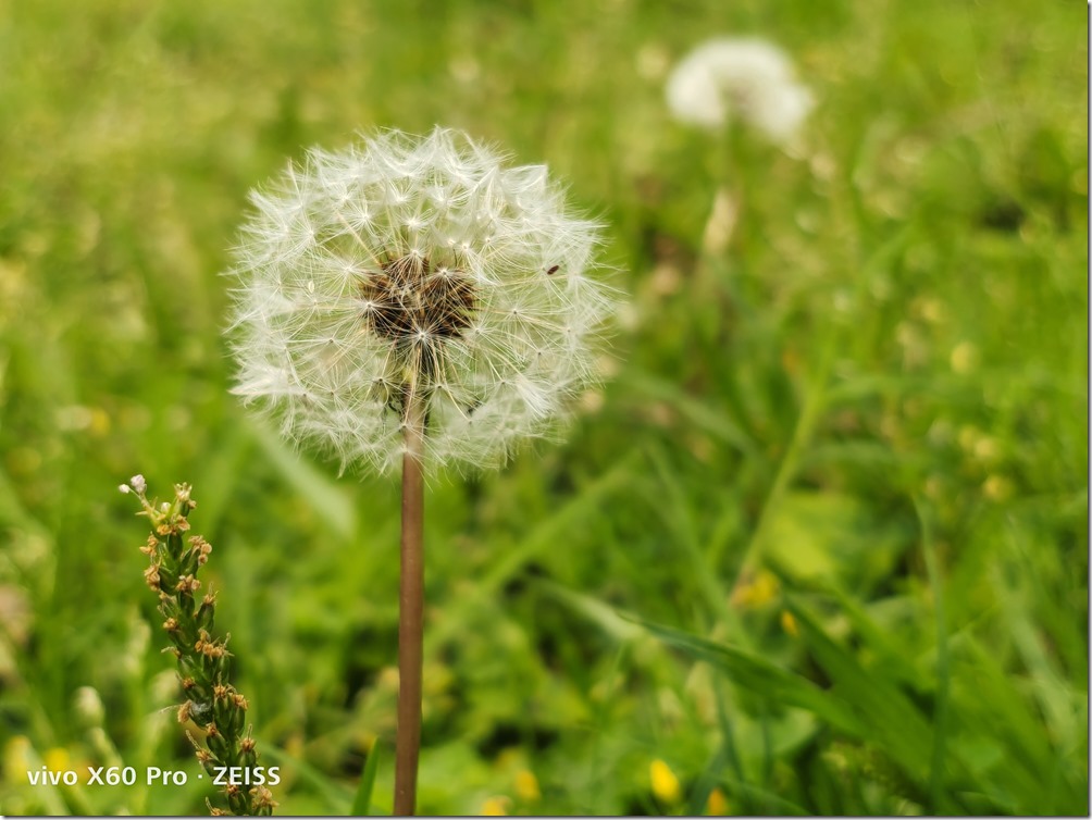 IMG_20210330_132006 IMG_20210330_132006