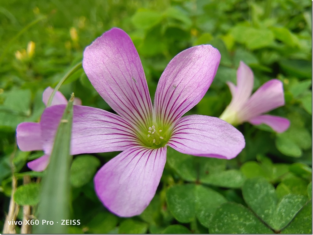 IMG_20210330_132142 IMG_20210330_132142