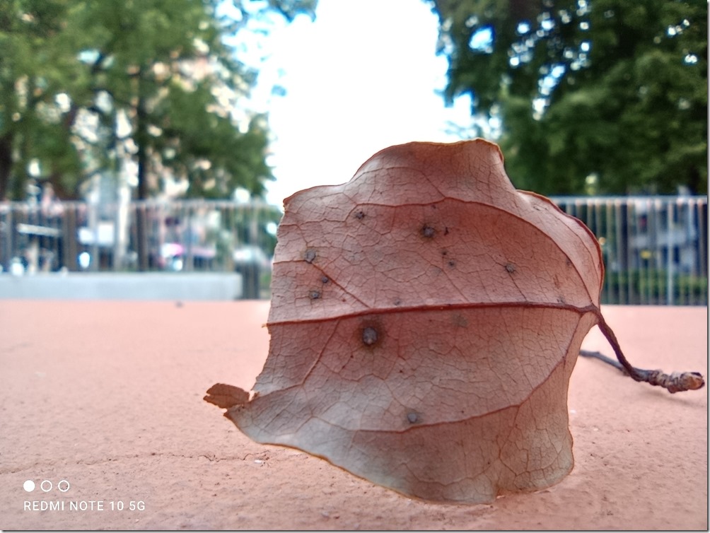 IMG_20210617_182645 IMG_20210617_182645