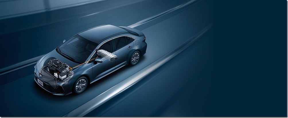 312304557_1545885012523172_3234166654762459453_n