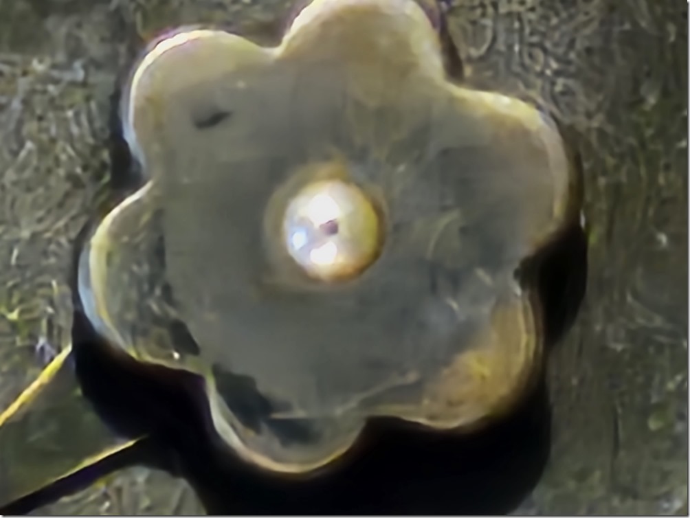 20230208_161841 20230208_161841