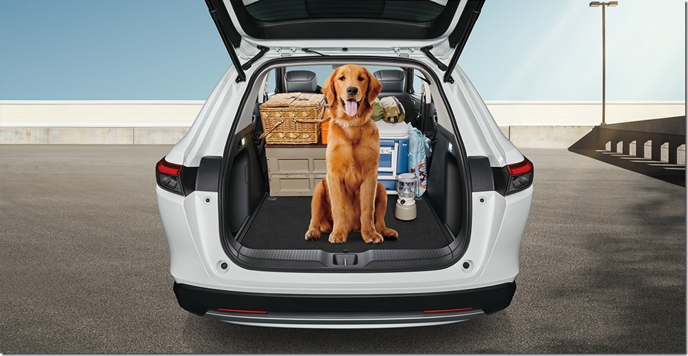 335450934_1607179219804182_9038383292249748503_n