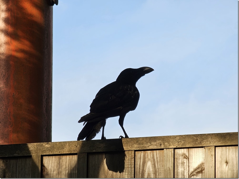 20230704_173316 20230704_173316