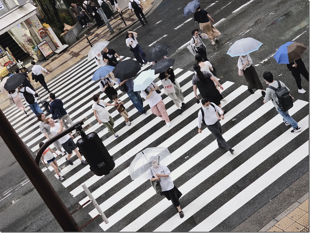 20230705_181834 20230705_181834