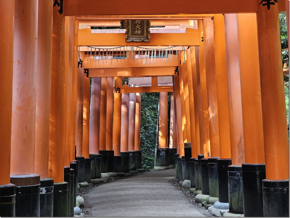 20230703_165115 20230703_165115