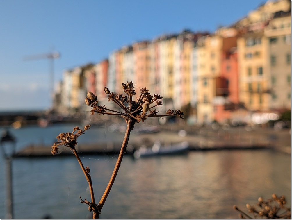 PXL_20231104_073855024