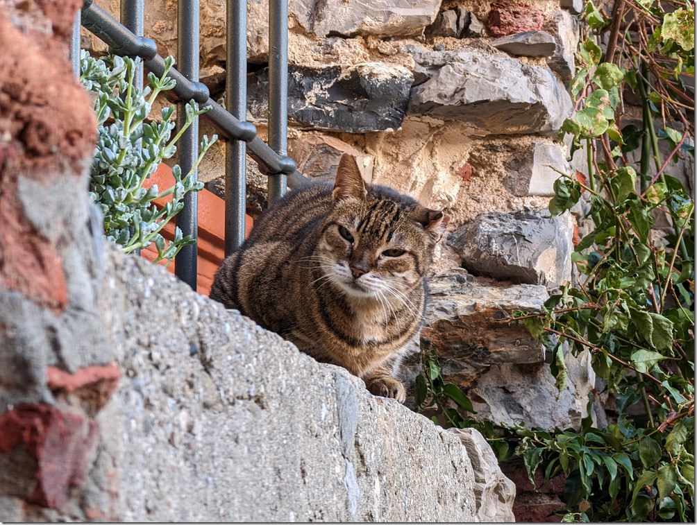 PXL_20231104_065729992