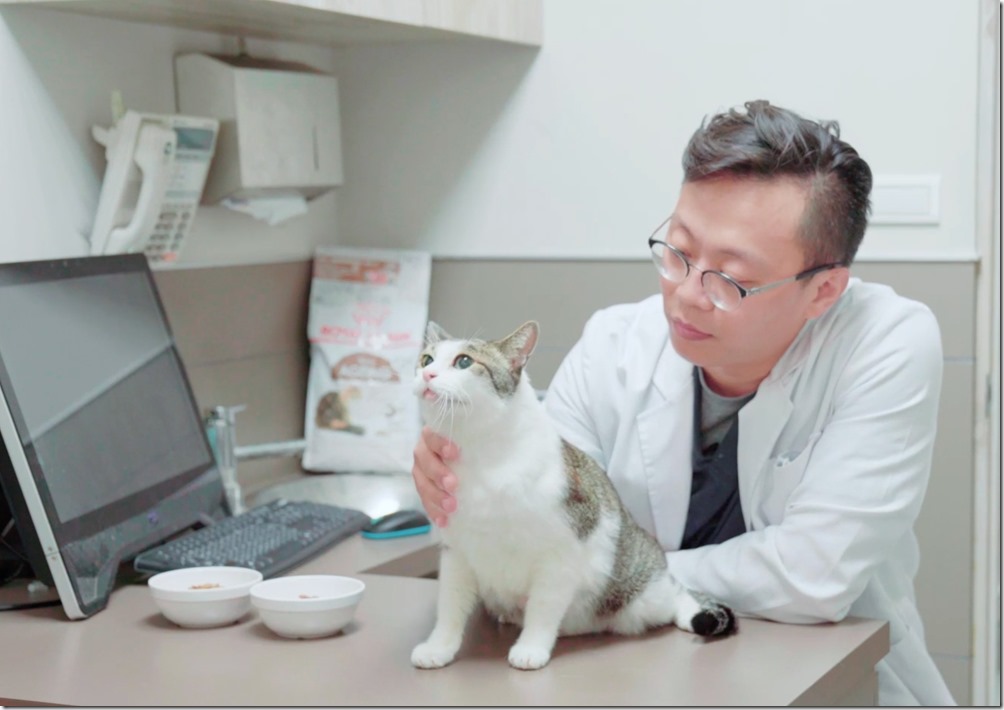 獸醫內科醫學會理事長鍾昇樺獸醫師說：「貓犬年齡、體型和活動水平是挑選飼料時需考量的重點之一。」