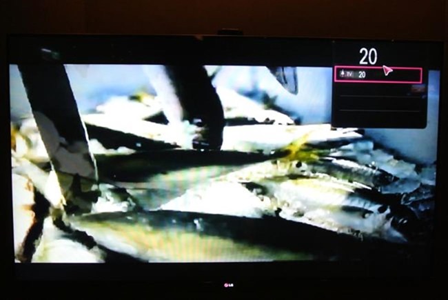 clip_image013 clip_image013