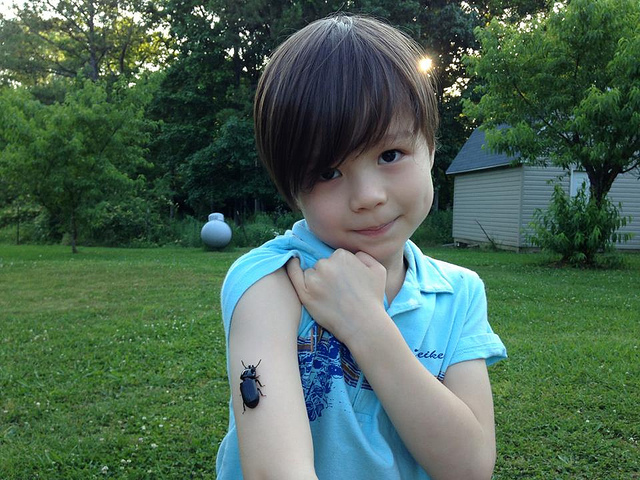 954869_532788936783538_342930371_n