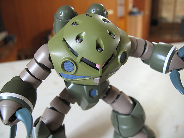HGUC Z'Gok (ver.UC)
