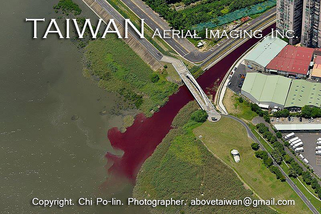 996812_489558027792897_779684001_n