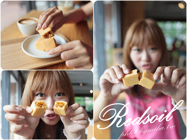 台中伴手禮 紅土丘陵鳳梨酥 冰蹦拉