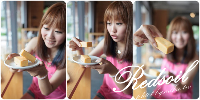 台中伴手禮 紅土丘陵鳳梨酥 冰蹦拉