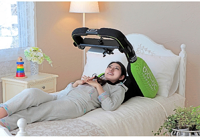 Goron Tablet Cushion (3)