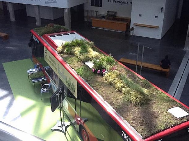 Green Roofed Bus (1)