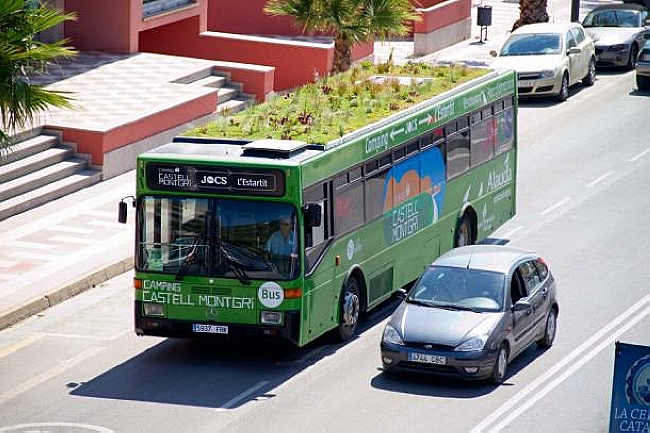 Green Roofed Bus (2)