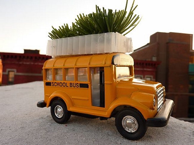 Green Roofed Bus (4)
