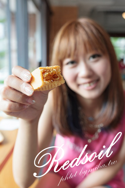 台中伴手禮 紅土丘陵鳳梨酥 冰蹦拉