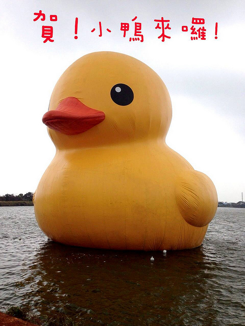 1397350_568415669880924_1034789016_o