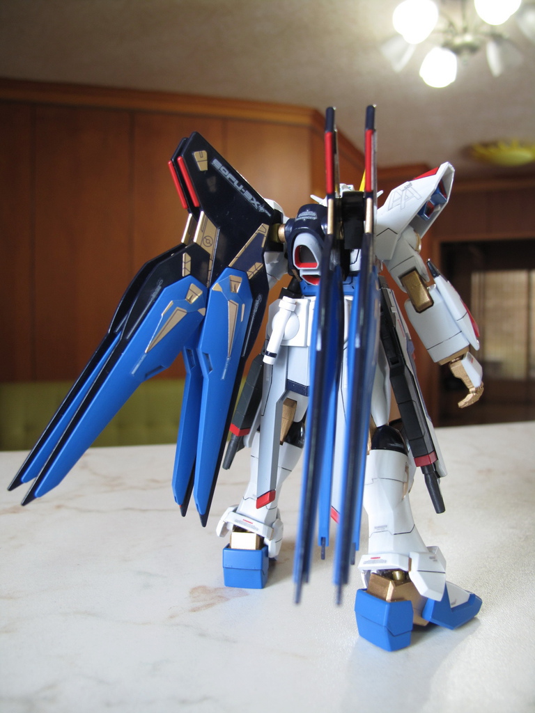 HG Strike Freedom Gundam ver.GFT