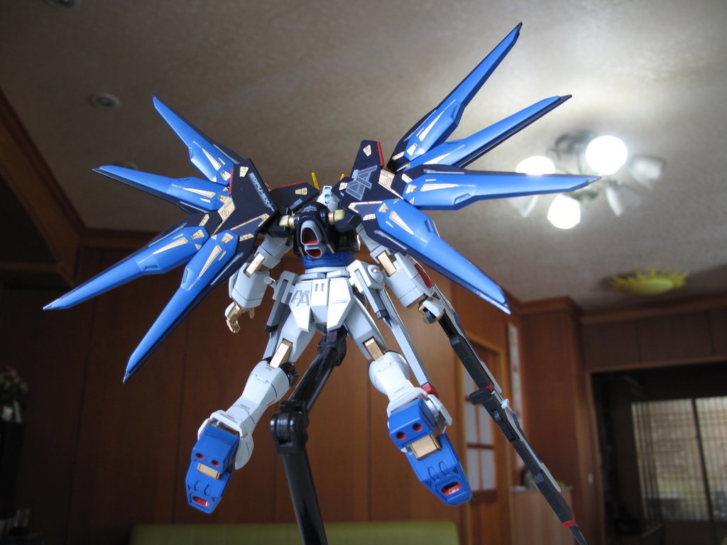 HG Strike Freedom Gundam ver.GFT HG Strike Freedom Gundam ver.GFT