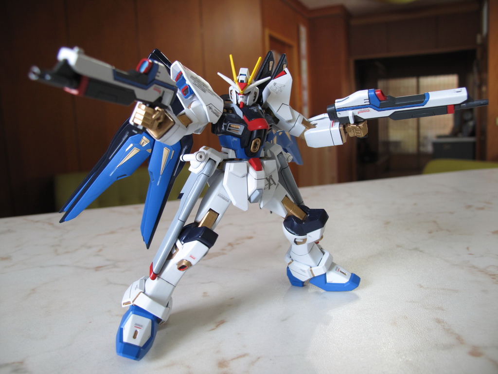 HG Strike Freedom Gundam ver.GFT HG Strike Freedom Gundam ver.GFT