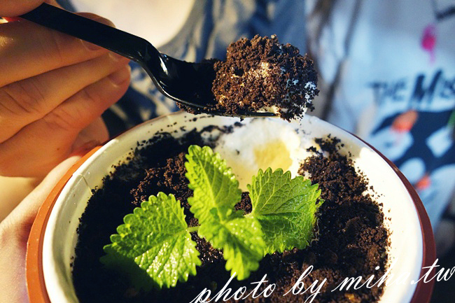 盆栽冰淇淋 冰蹦拉