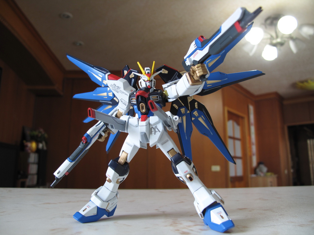 HG Strike Freedom Gundam ver.GFT HG Strike Freedom Gundam ver.GFT