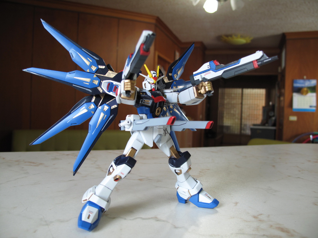HG Strike Freedom Gundam ver.GFT HG Strike Freedom Gundam ver.GFT