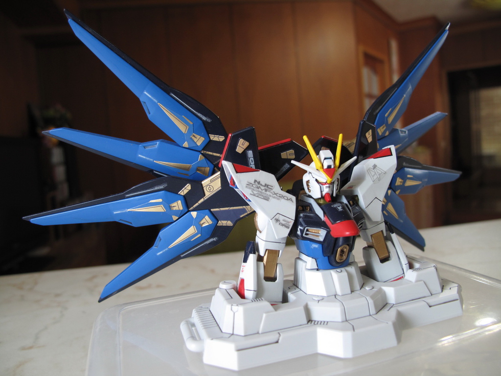 HG Strike Freedom Gundam ver.GFT HG Strike Freedom Gundam ver.GFT