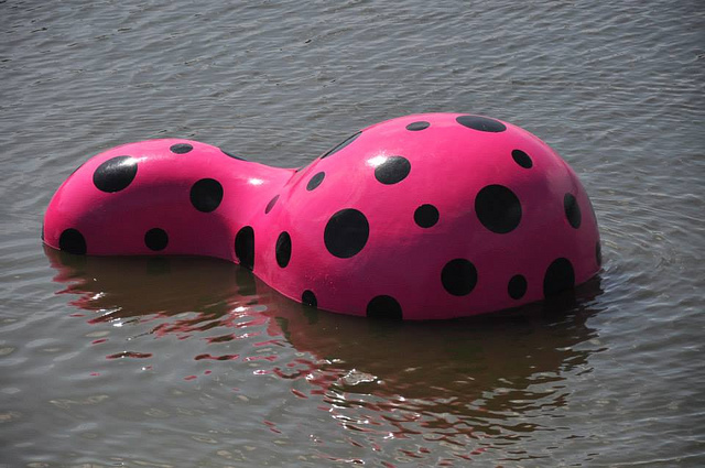 1392031_224998847662876_623597222_n