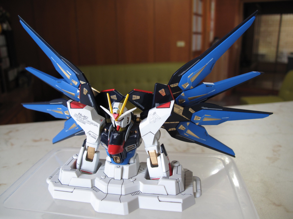 HG Strike Freedom Gundam ver.GFT HG Strike Freedom Gundam ver.GFT