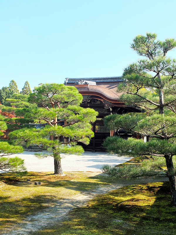 京都仁和寺賞楓