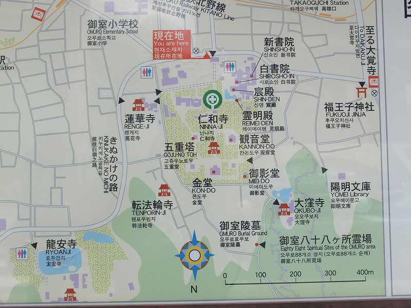 京都仁和寺賞楓