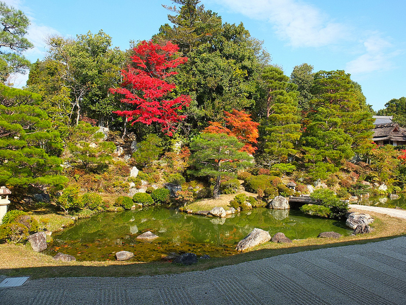 京都仁和寺賞楓