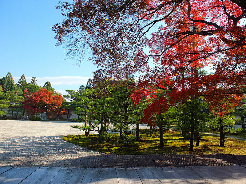 京都仁和寺賞楓