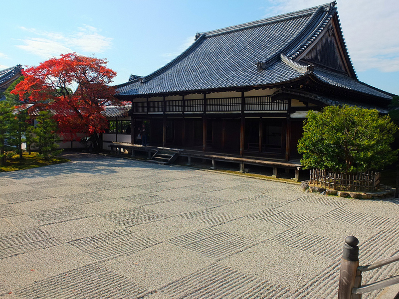 京都仁和寺賞楓