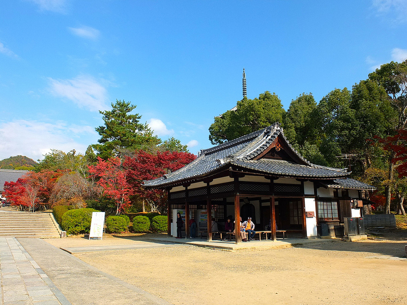 京都仁和寺賞楓