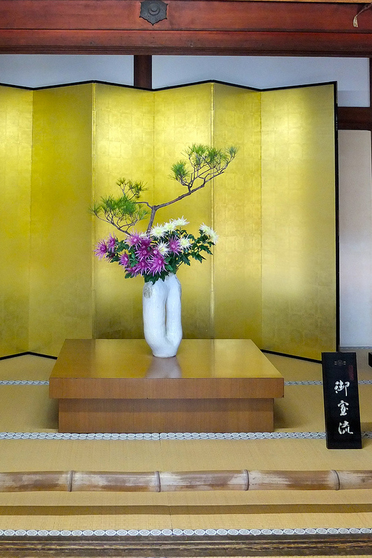 京都仁和寺賞楓