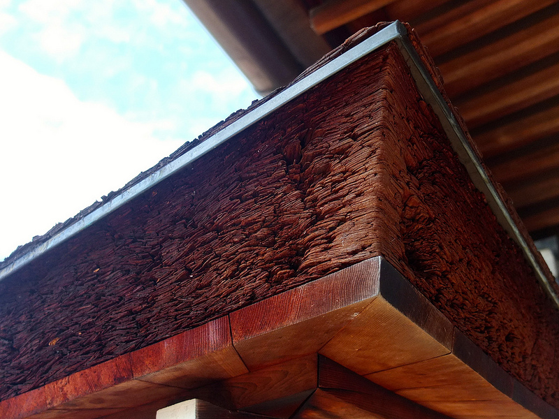 京都仁和寺賞楓