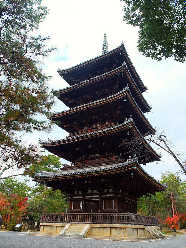 京都仁和寺賞楓