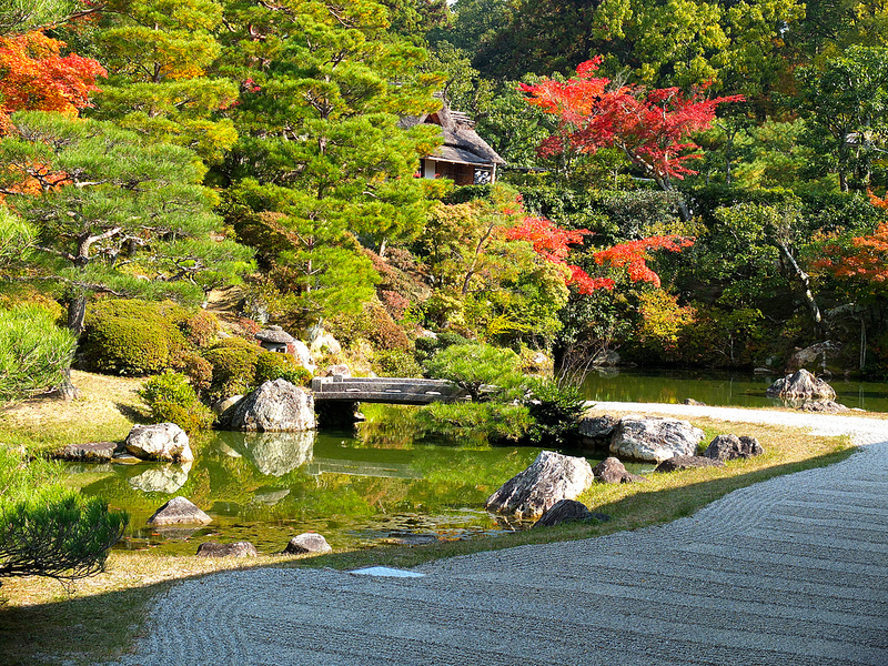 京都仁和寺賞楓