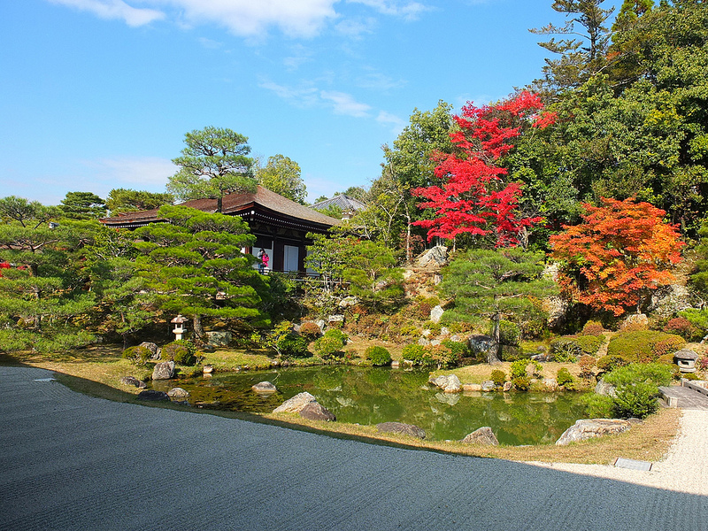 京都仁和寺賞楓
