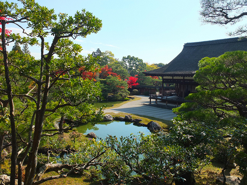 京都仁和寺賞楓